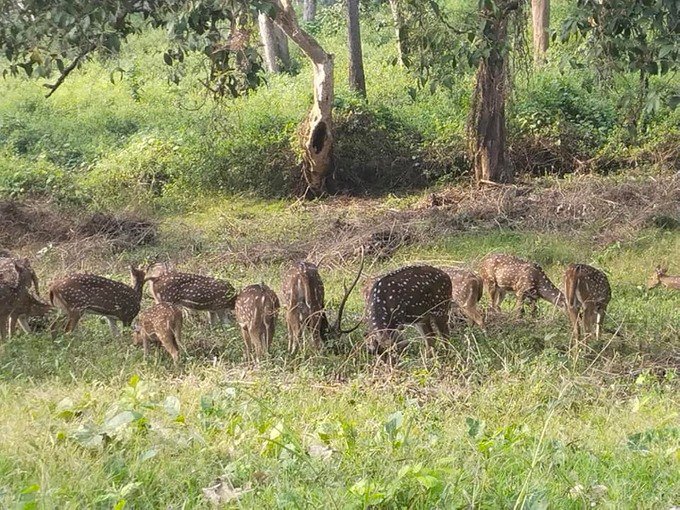 315430331 513380024141175 7295890473260518392 n